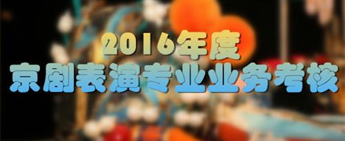鸡巴戳妹子网站国家京剧院2016年度京剧表演专业业务考...